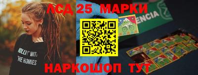 гидропоника Будённовск