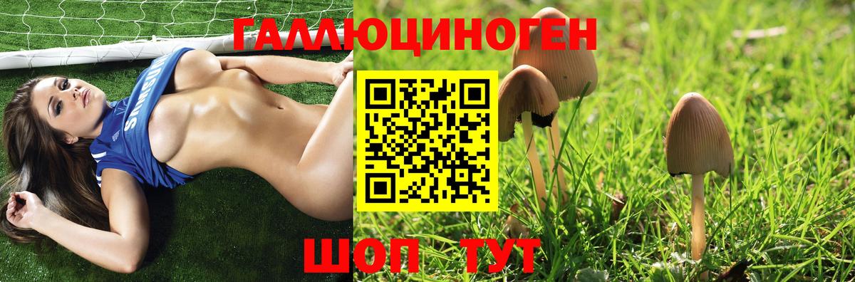что такое   Вход с VPN  Михайловск  Псилоцибиновые грибы Magic Shrooms 