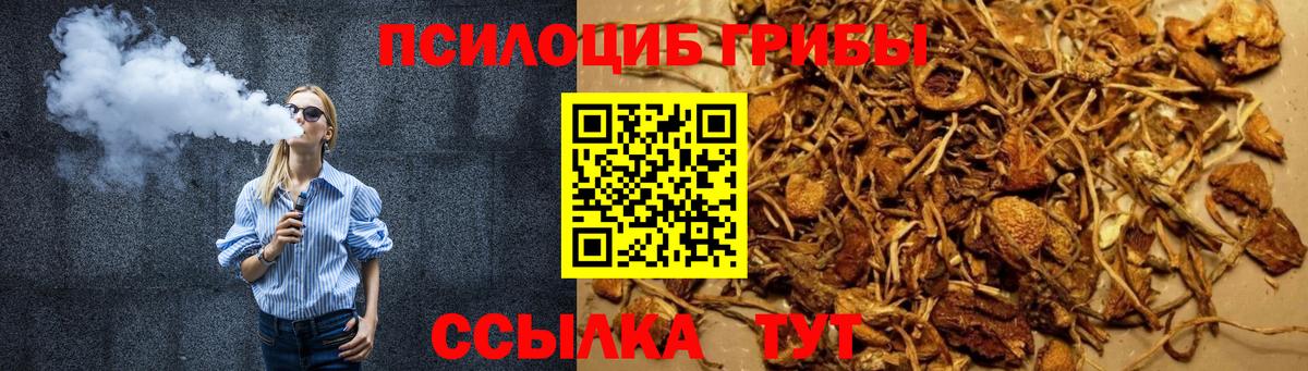Галлюциногенные грибы Psilocybine cubensis Михайловск